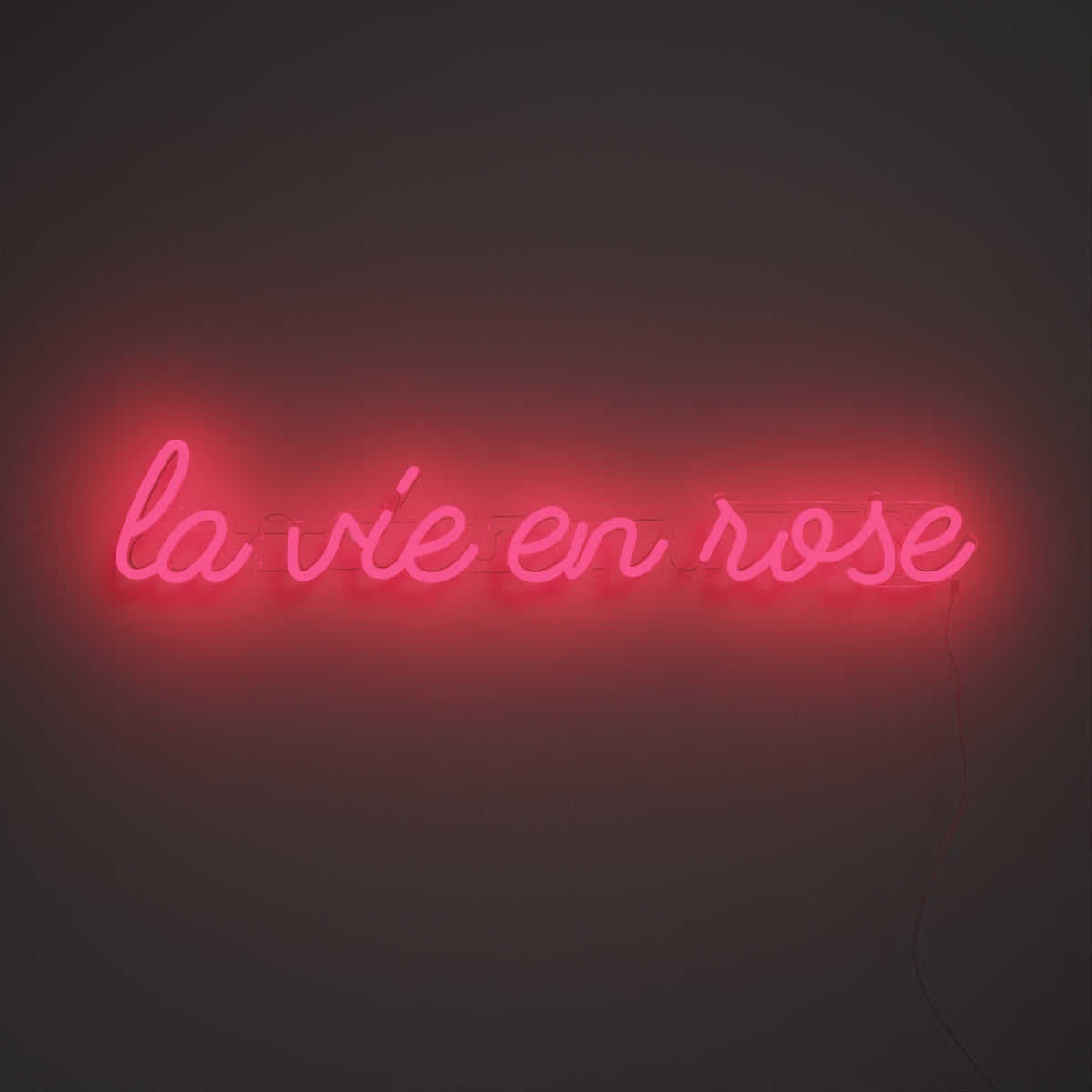 La vie en rose - neon LED sign